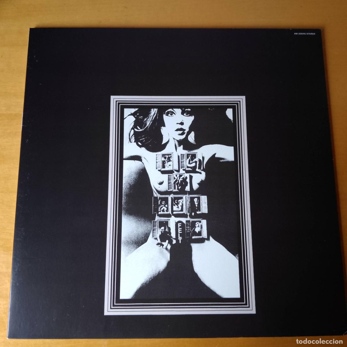 Discos de vinilo: Felt. The Splendour of Fear. Lp