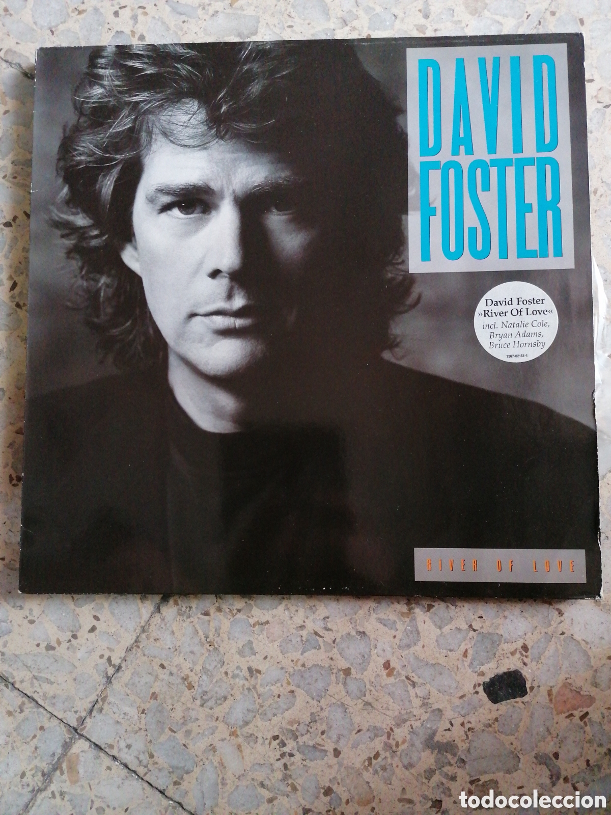 Discos de vinilo: LP DAVID FOSTER RIVER OF LOVE 1990 GERMANY INSERT EX