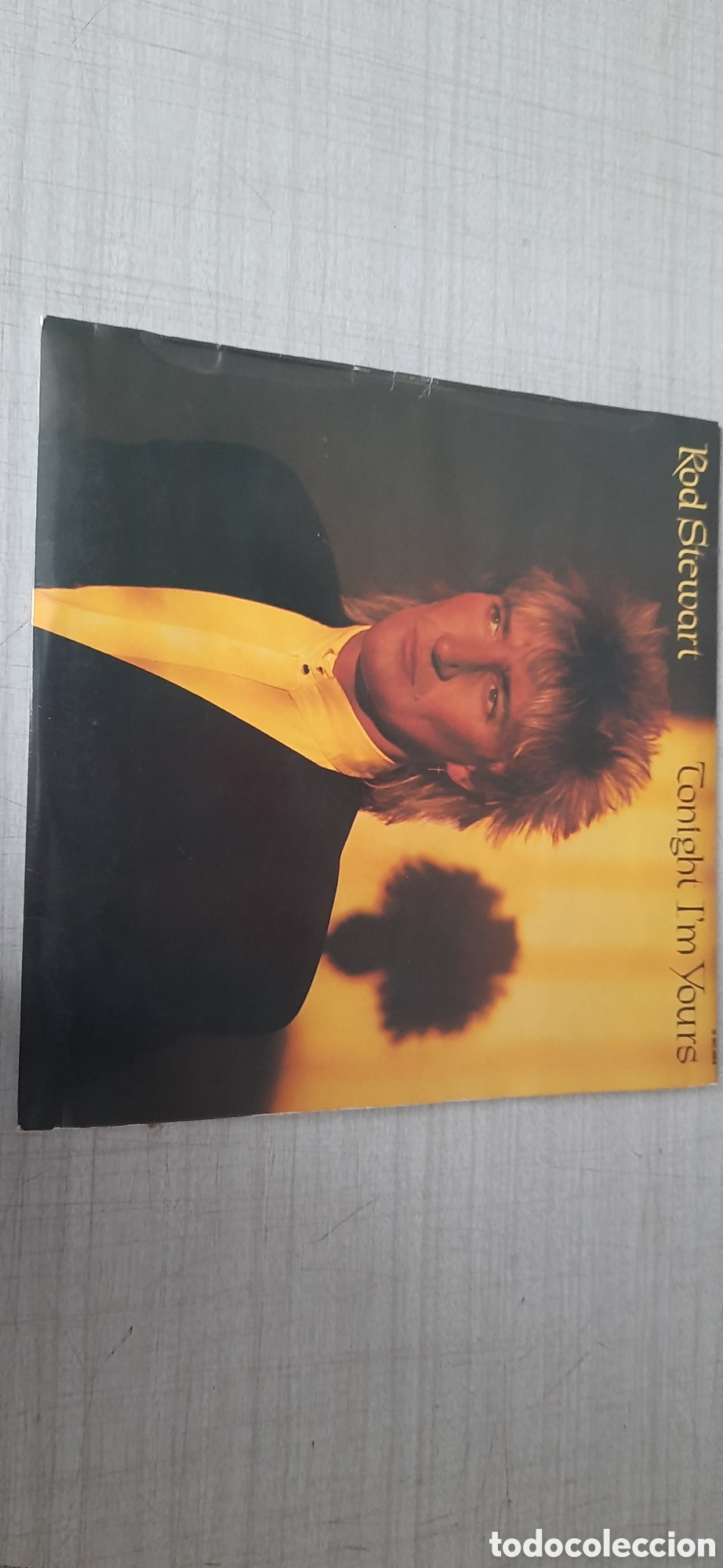Discos de vinilo: Rod Stewart tonight im yours