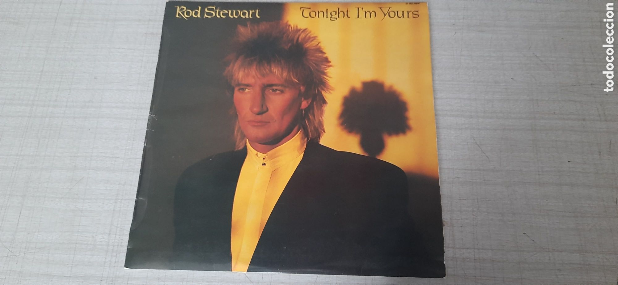 Discos de vinilo: Rod Stewart tonight im yours