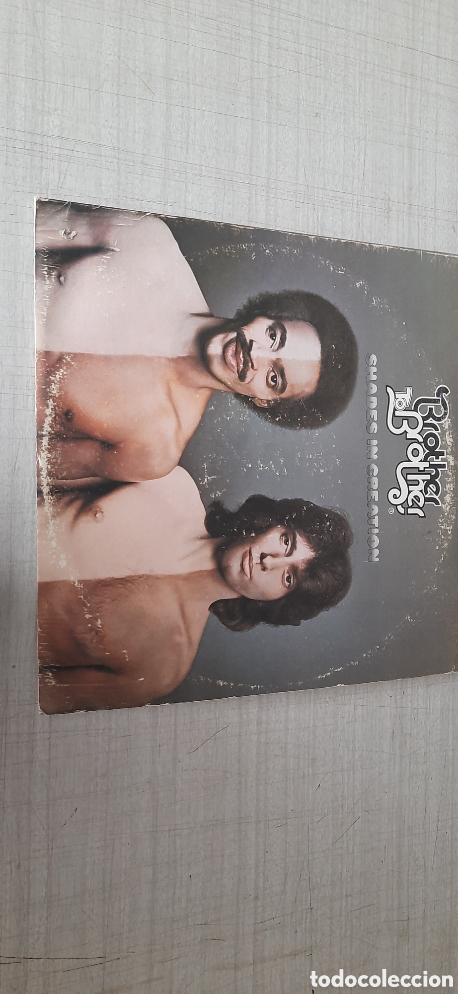 Discos de vinilo: Brother to brother shades in creation