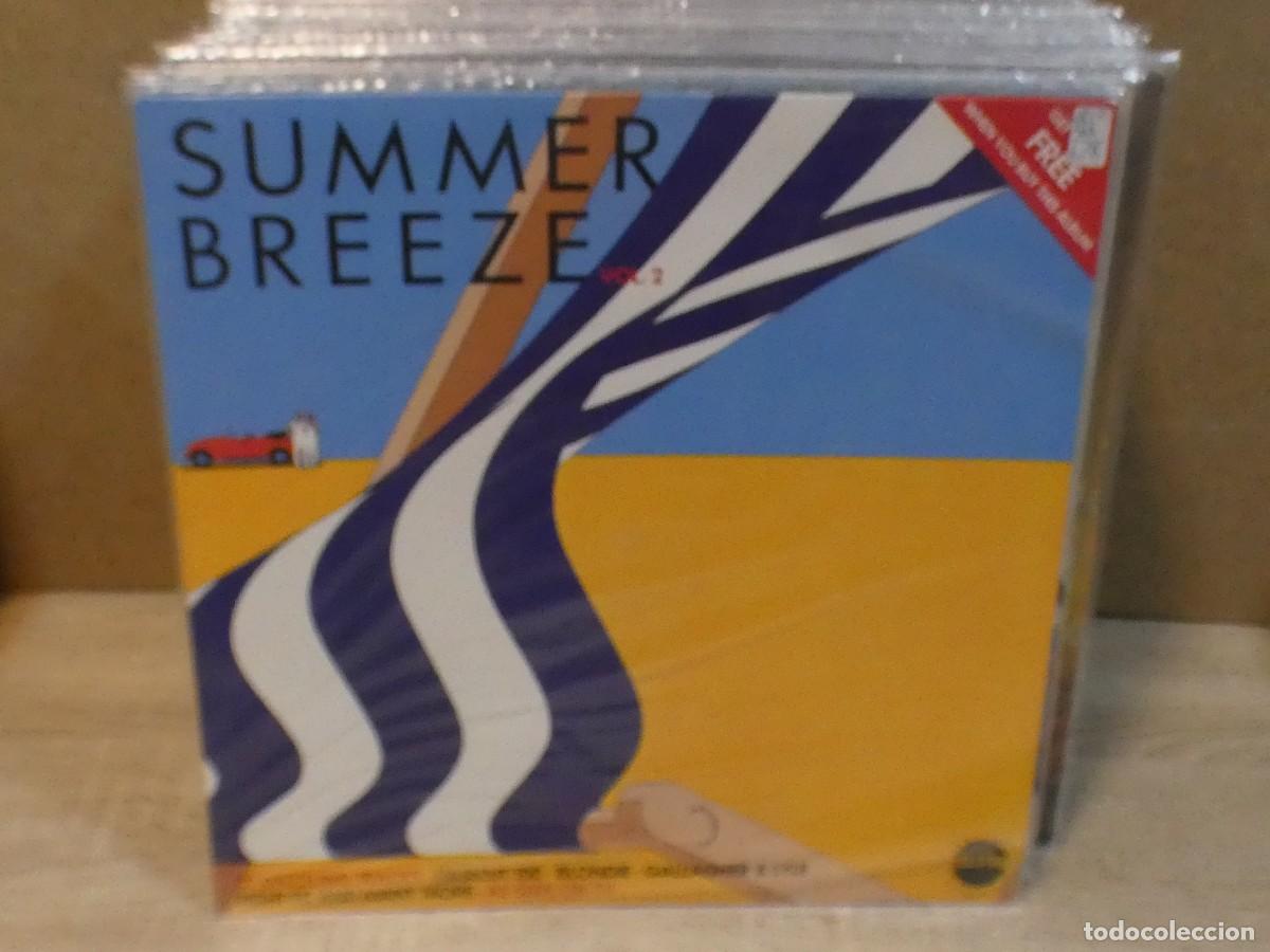 Discos de vinilo: ARKANSAS1980 CAJJ731 VINILO BUEN ESTADO SUMMER BREEZE
