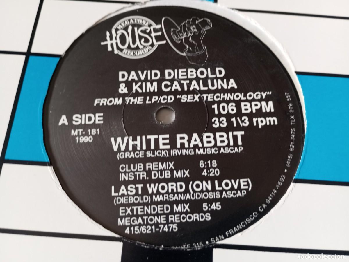 Discos de vinilo: David Diebold & Kim Cataluna &ndash; White Rabbit - 1990