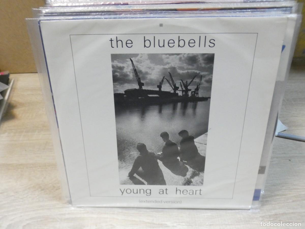 Discos de vinil: ARKANSAS1980 CAJJ731 MAXI SINGLE BUEN ESTADO THE BLUEBELLS