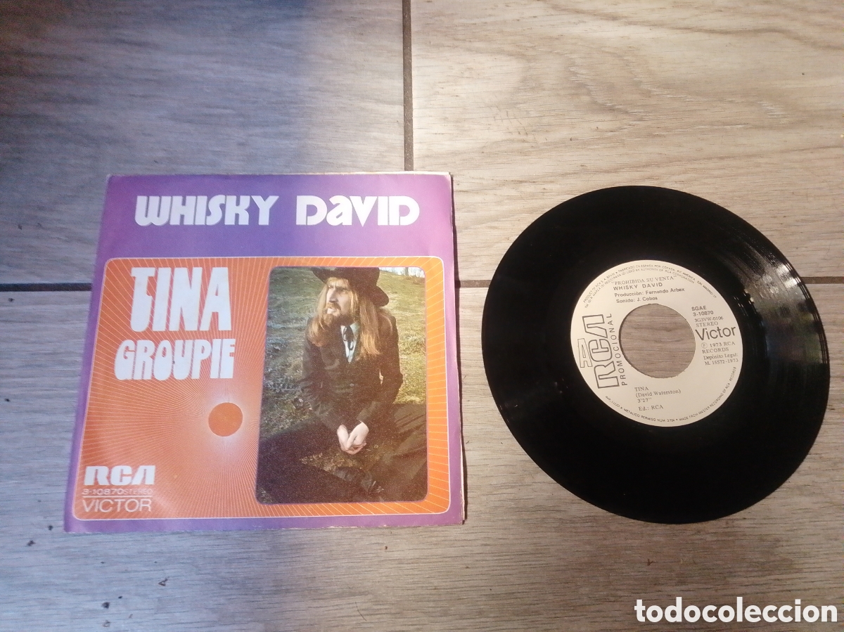 Discos de vinilo: WHISKY DAVID - TINA - SPAIN - RCA - PROMO - CC -