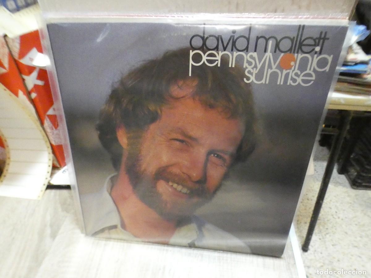 Discos de vinilo: ARKANSAS1980 PACC729 VINILO LEVE USO CORRECTO - DAVID MALLETT