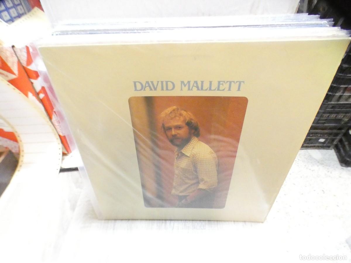 Discos de vinilo: ARKANSAS1980 PACC729 VINILO BUEN ESTADO - DAVID MALLETT