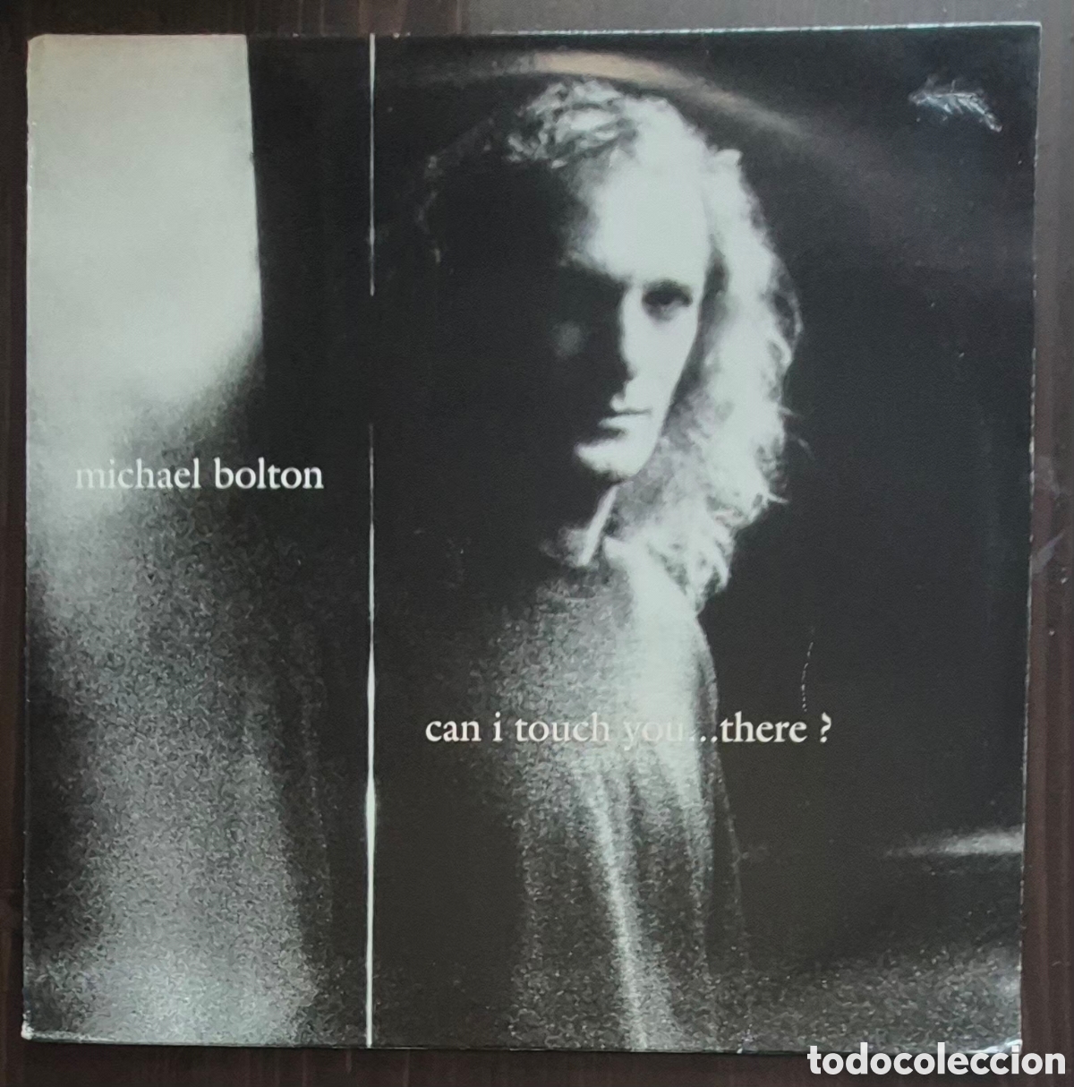 Discos de vinilo: MAXI - MICHAEL BOLTON - CAN I TOUCH YOU... THERE? - 1995 EUROPA (HOUSE)