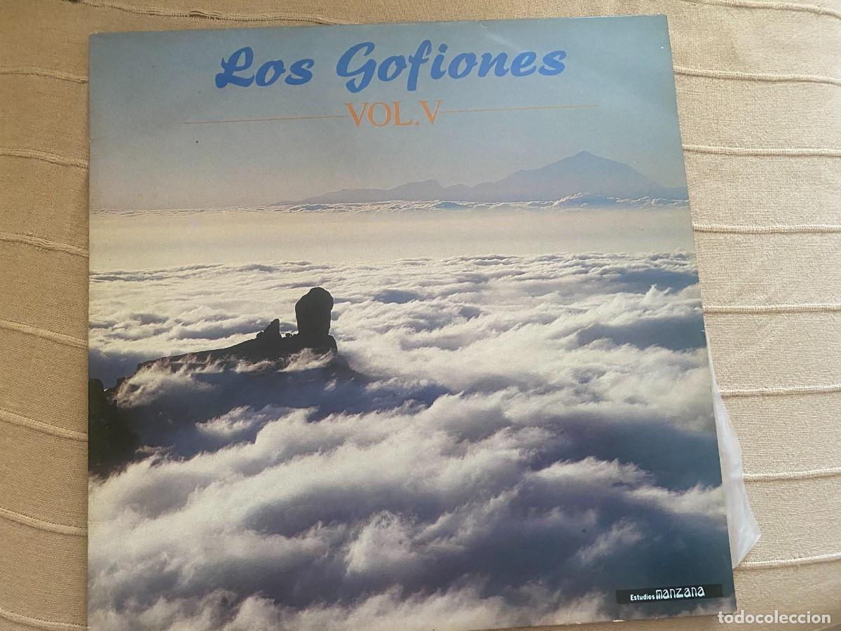 Discos de vinilo: LP LOS GOFIONES VOL. V