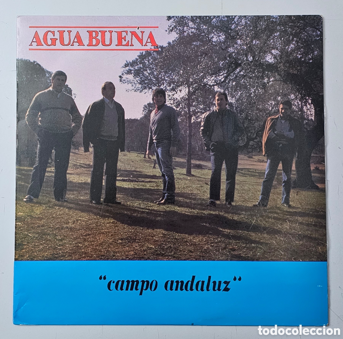 Discos de vinilo: LP AGUABUENA - Campo andaluz (Espa&ntilde;a - Fonoruz - 1985) Rumbas Sevillanas MUY RARO ESCASISIMO