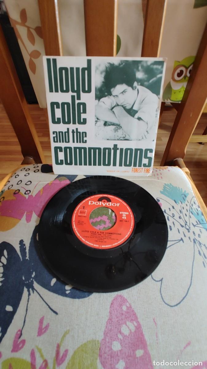 Discos de vinilo: LLOYD COLE AND THE COMMOTIONS-SINGLE FOREST FIRE