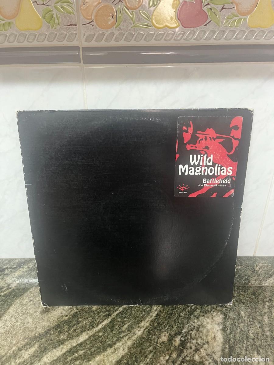 Discos de vinilo: The Wild Magnolias Battlefield