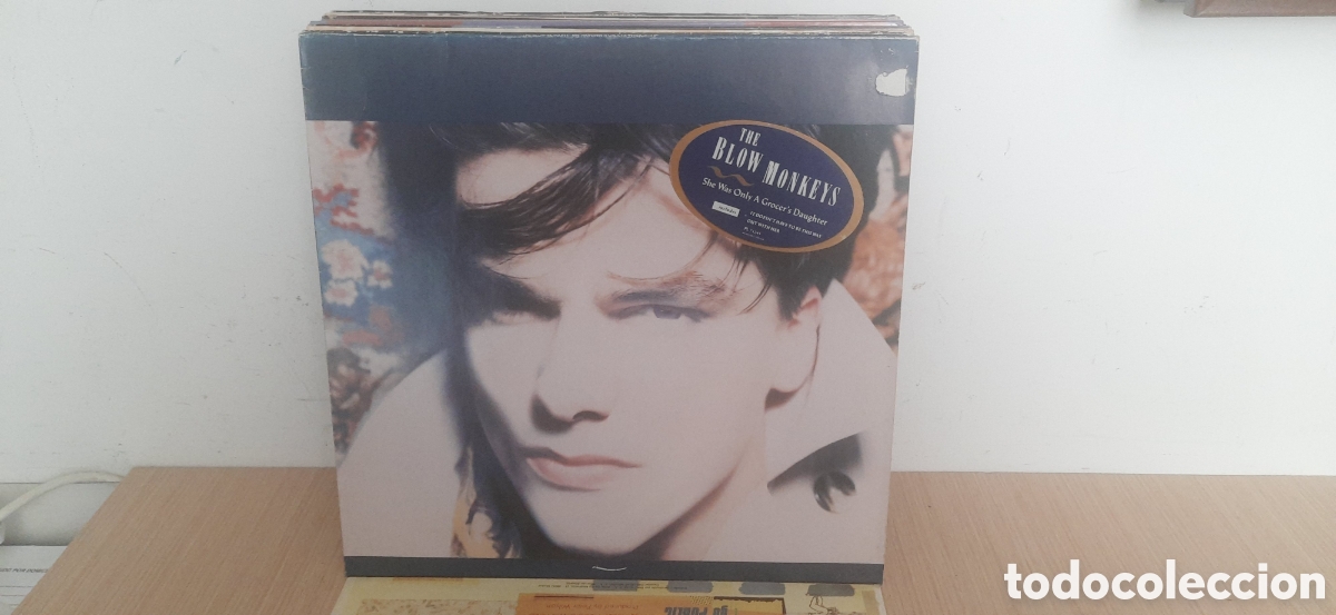 Discos de vinilo: the blow monkeys she was a grocer&acute;s daughter