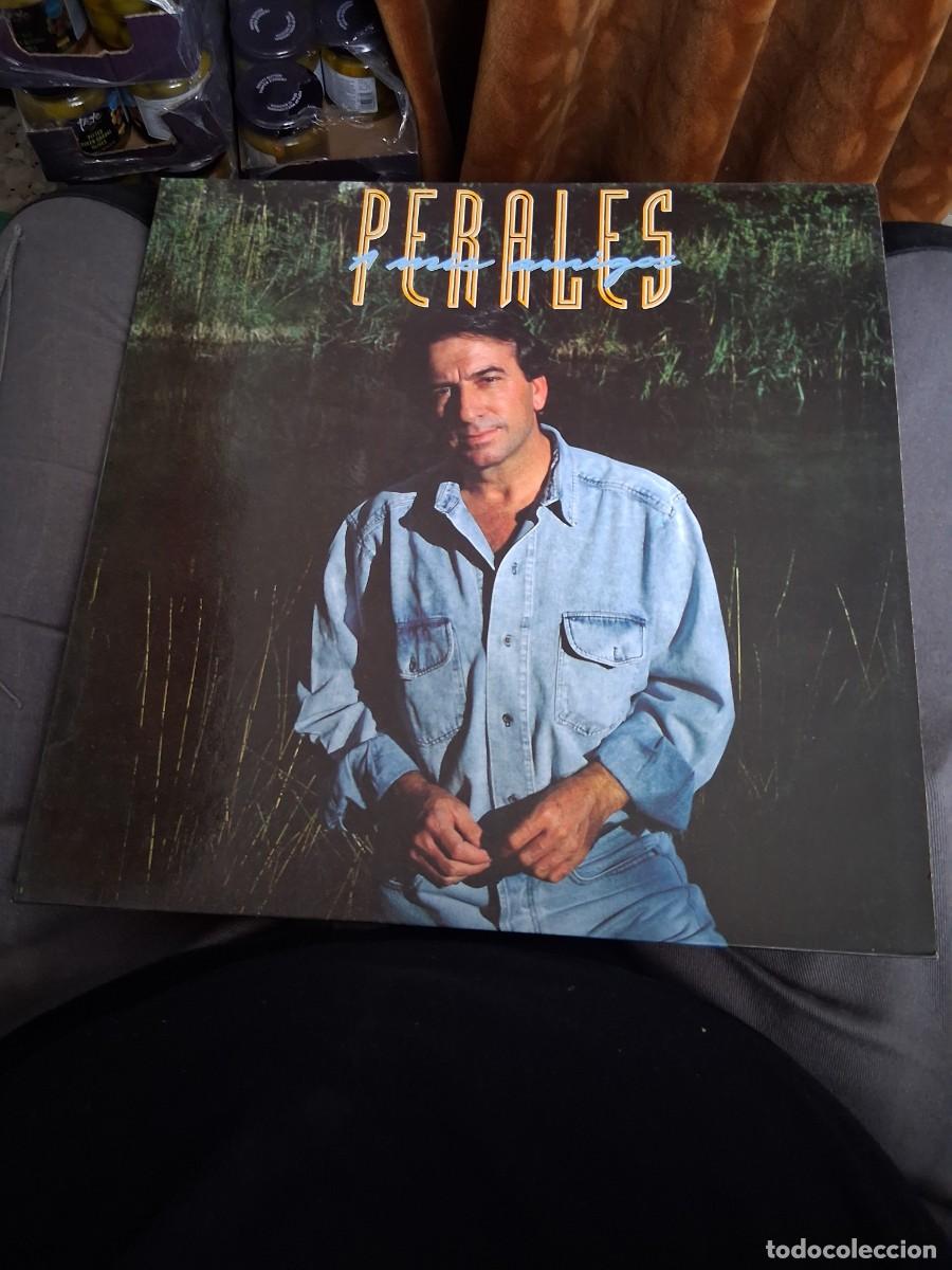 Discos de vinilo: Disco LP m&uacute;sica Jos&eacute; Luis Perales mis amigos