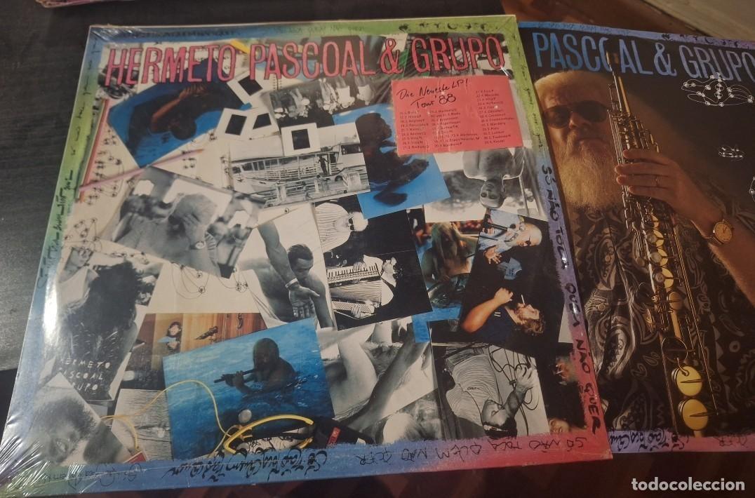 Discos de vinilo: HERMETO PASCOAL & GRUPO - SO NAO TOCA QUEM NAO QUEP LP VERABRA 1988 ALEMANIA - LATIN JAZZ
