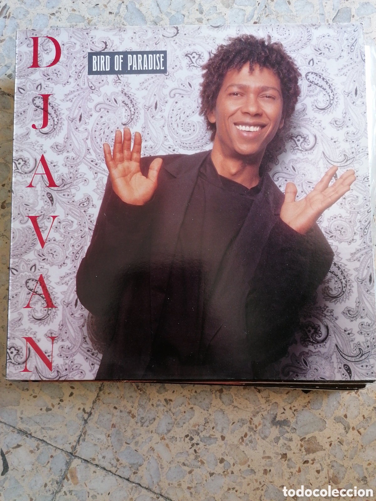 Discos de vinilo: LP DJAVAN BIRD PARADISE 1988 HOLANDA EX