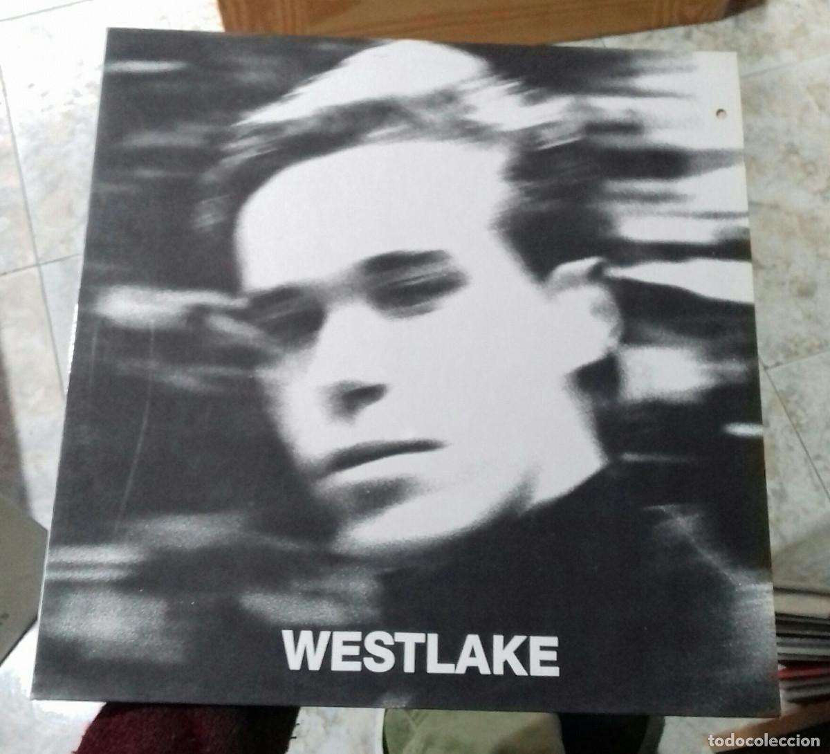 Discos de vinilo: DAVID WESTLAKE THE SERVANTS