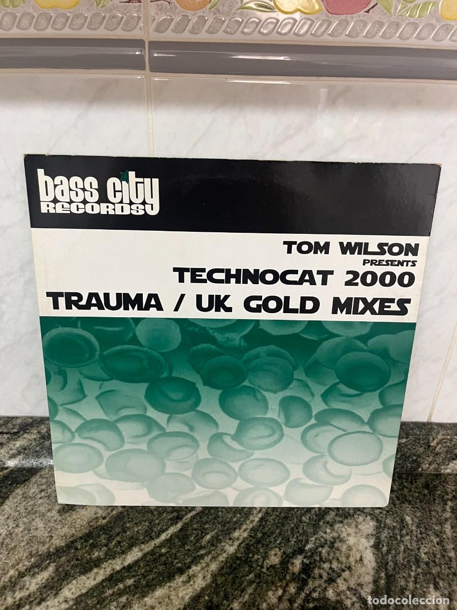 Discos de vinilo: Tom Wilson Technocat 2000