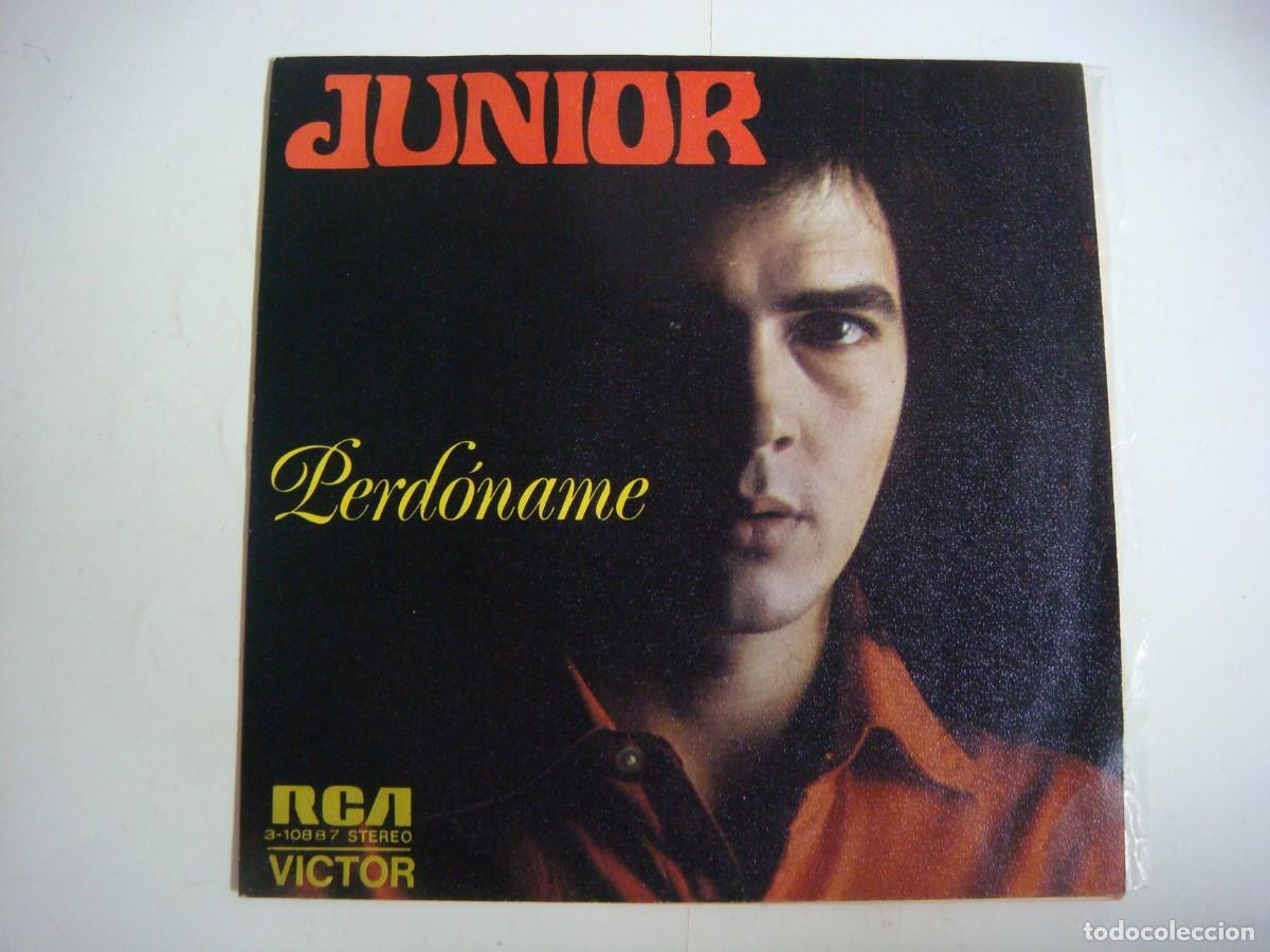 Discos de vinilo: VINILO SINGLES DE JUNIOR-PERDONAME-(&)