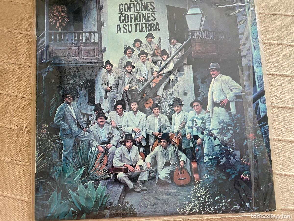 Discos de vinilo: LP LOS GOFIONES - GOFIONES A SU TIERRA