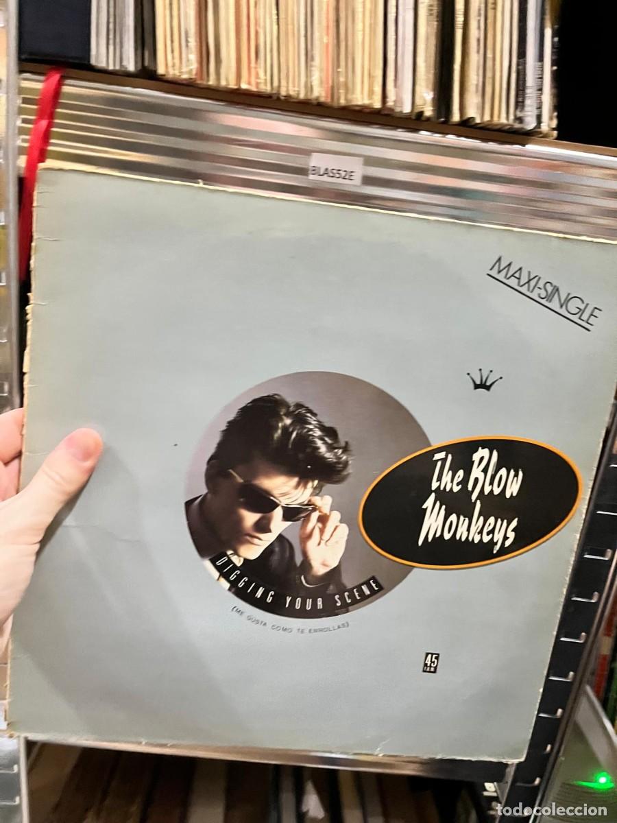 Discos de vinilo: BLAS52E &mdash; VINILO &mdash; The Blow Monkeys &mdash; Digging Your Scene (Maxi-Single)