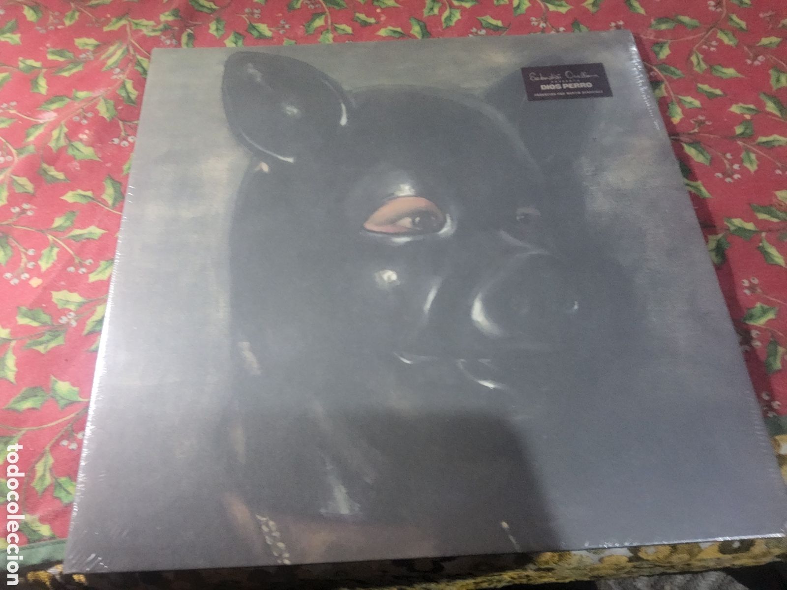 Discos de vinilo: Sebastian Orellana Dios Perro