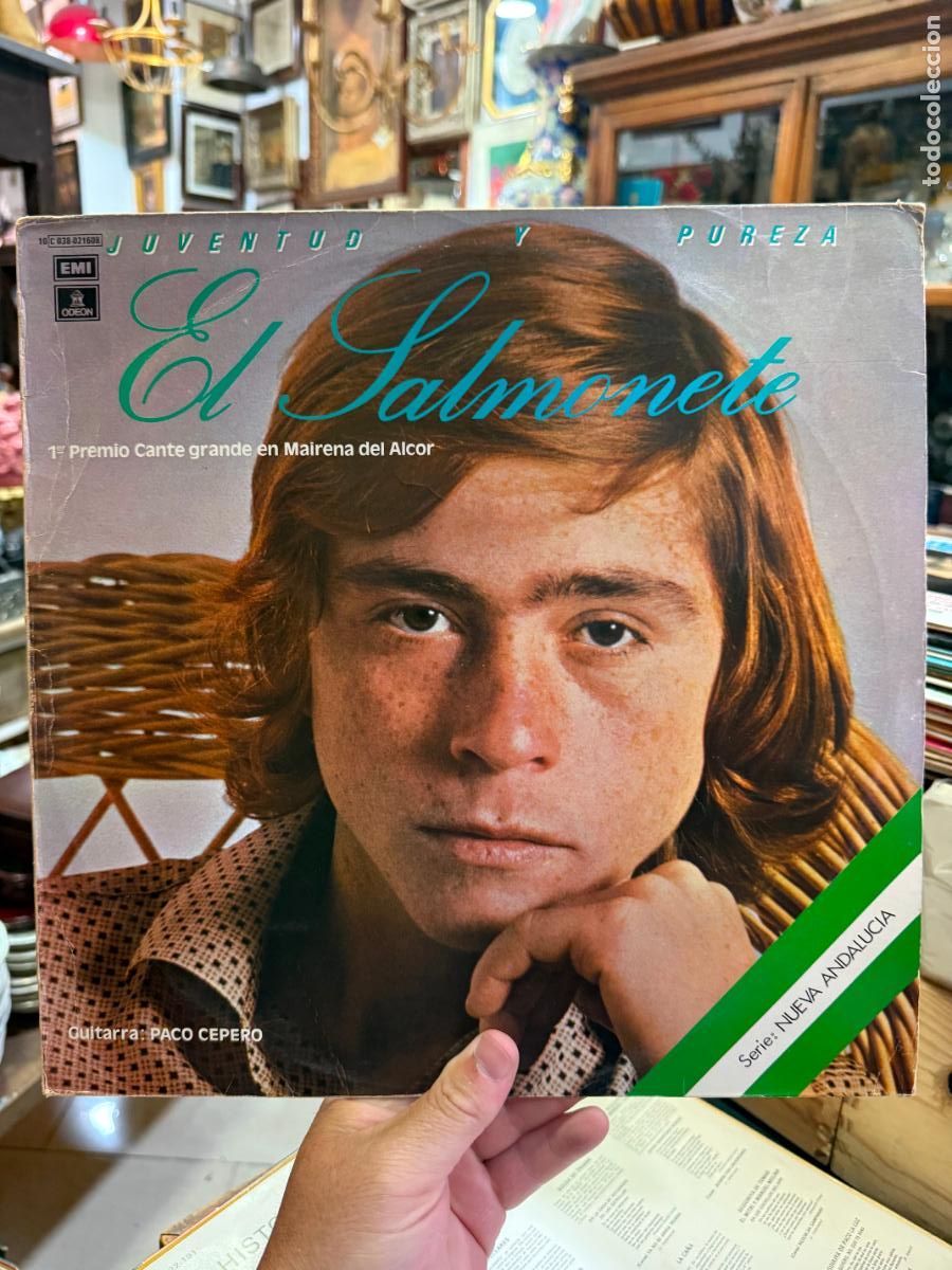Discos de vinilo: LP JUVENTUD Y PUREZA EL SALMONETE
