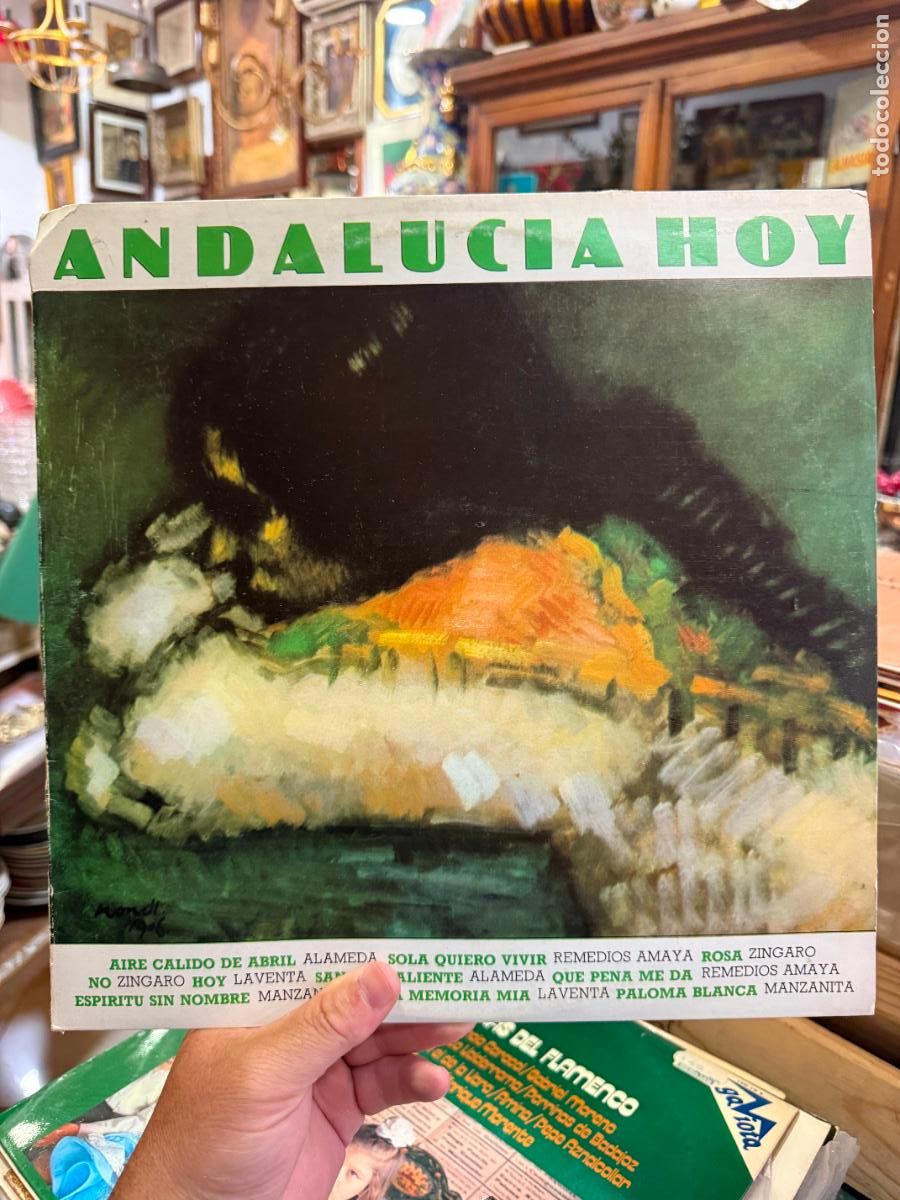 Discos de vinilo: LP ANDALUCIA HOY ---