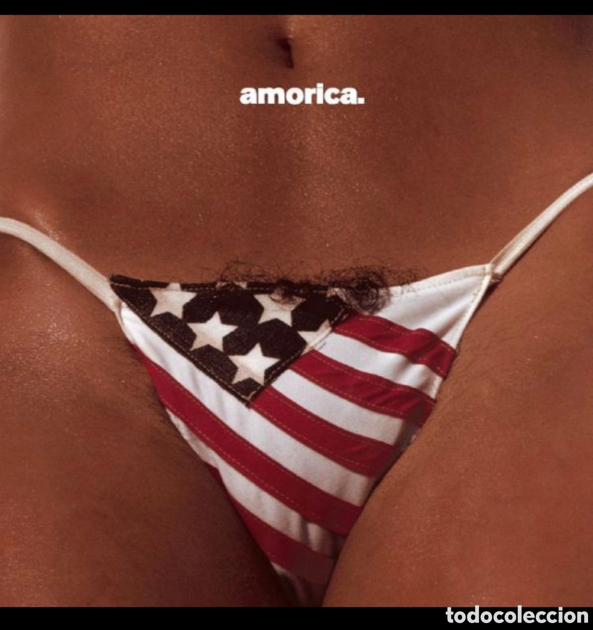 Discos de vinilo: The Black Crowes: Amorica 2LPS 180 gr
