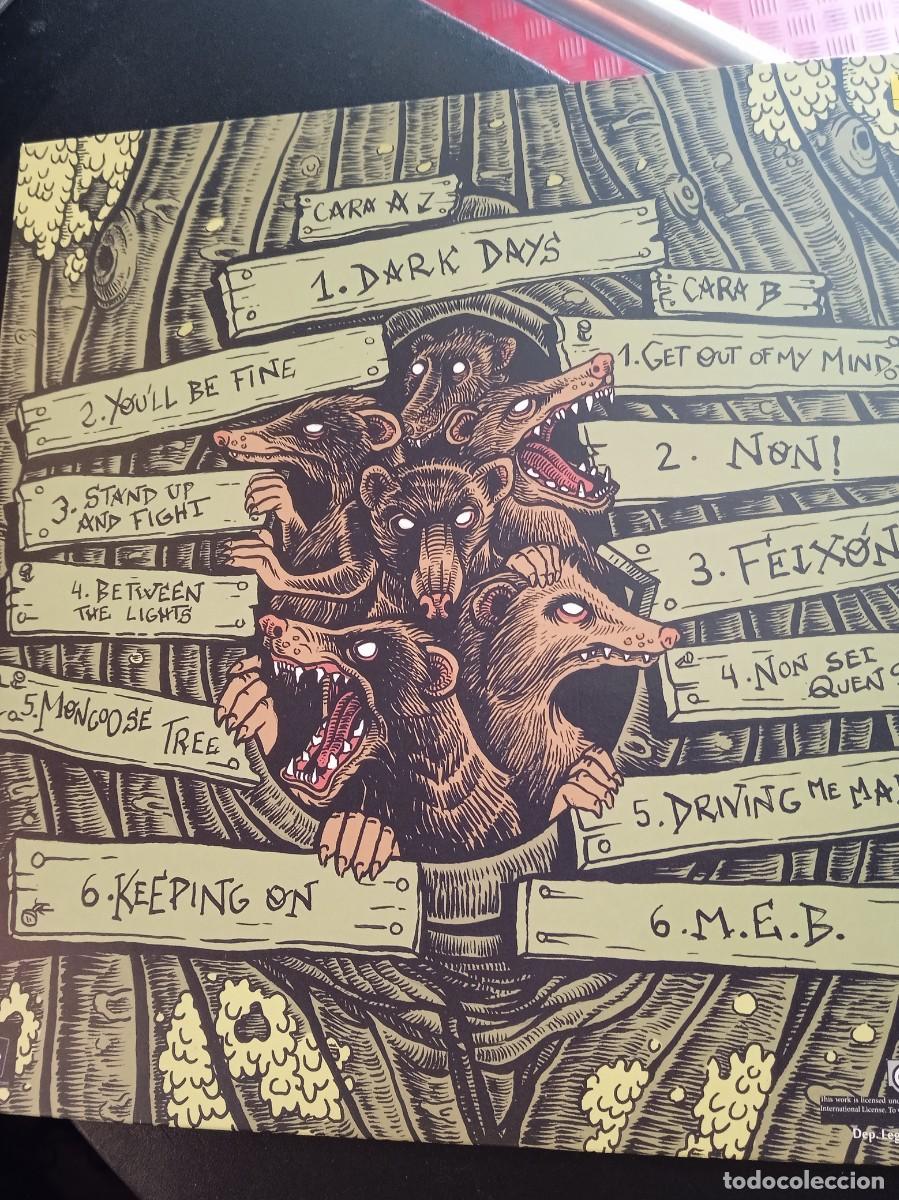 Discos de vinilo: FOXY FREIRE- MONGOOSE TREE. LP - Foto 2