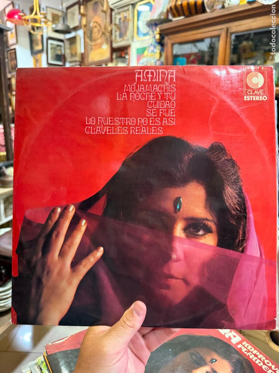 Discos de vinilo: LP AMINA -----------