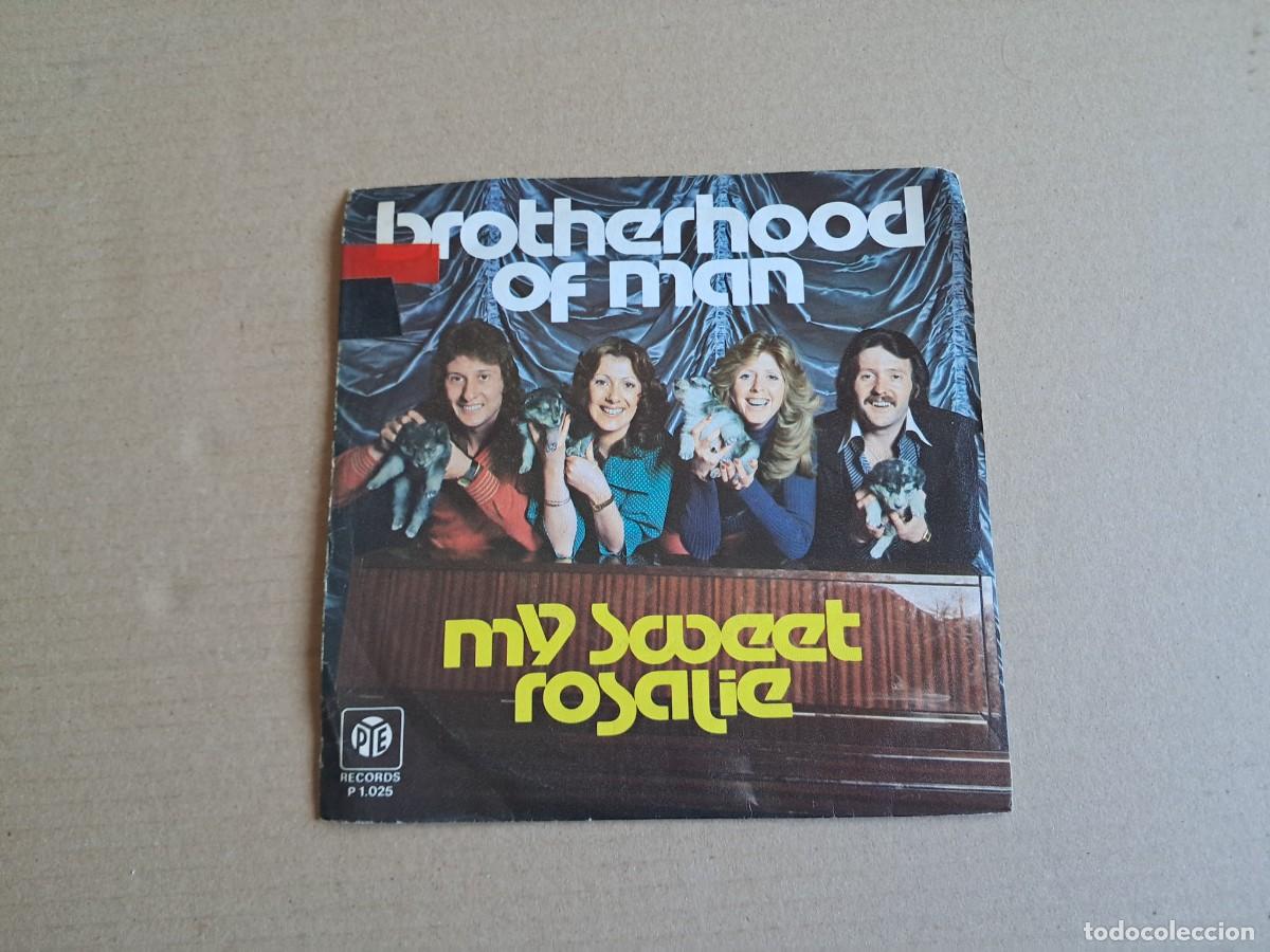 Discos de vinilo: BROTHERHOOD OF MAN - MY SWEET ROSALIE SINGLE 1976 EDICION ESPA&Ntilde;OLA