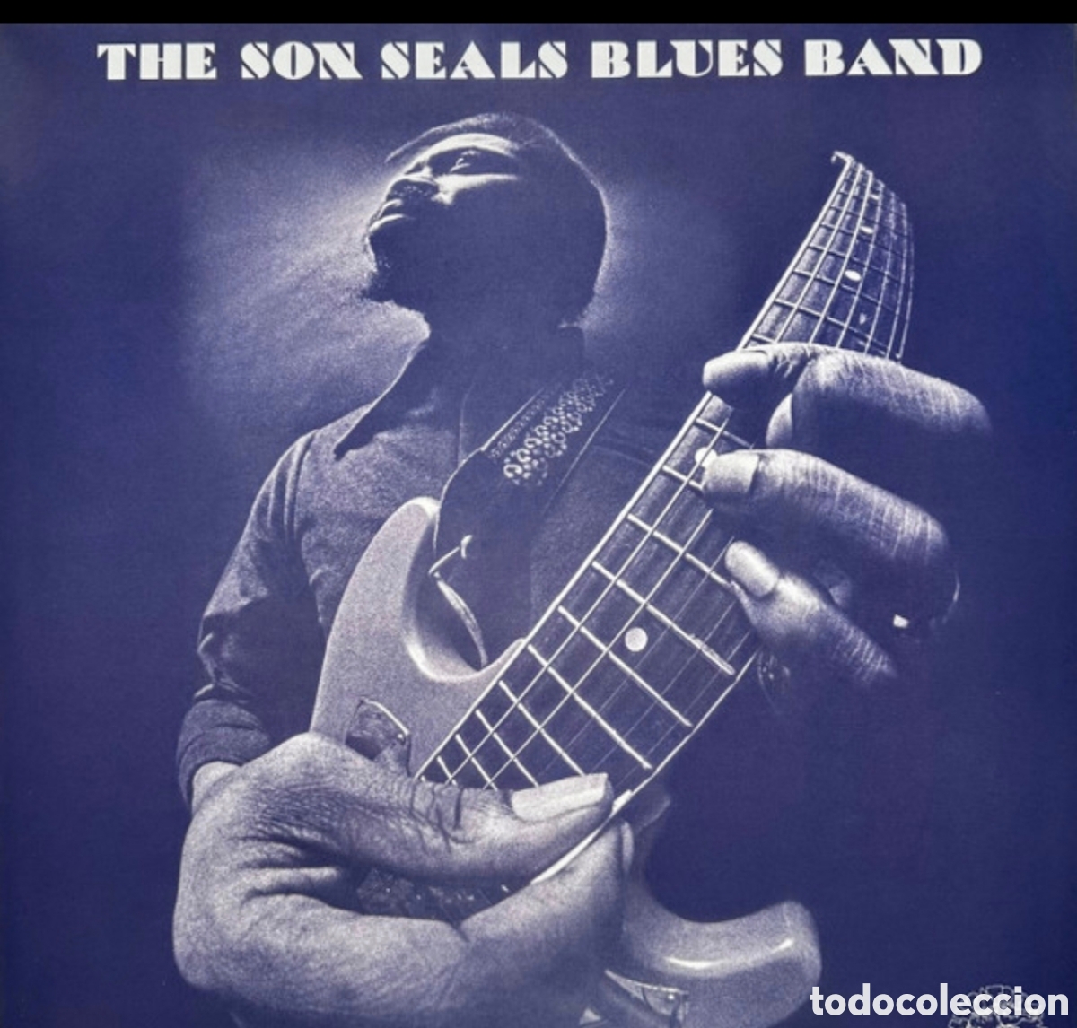 Discos de vinilo: The son Seals Blues Band: The son Seals Blues Band Lp