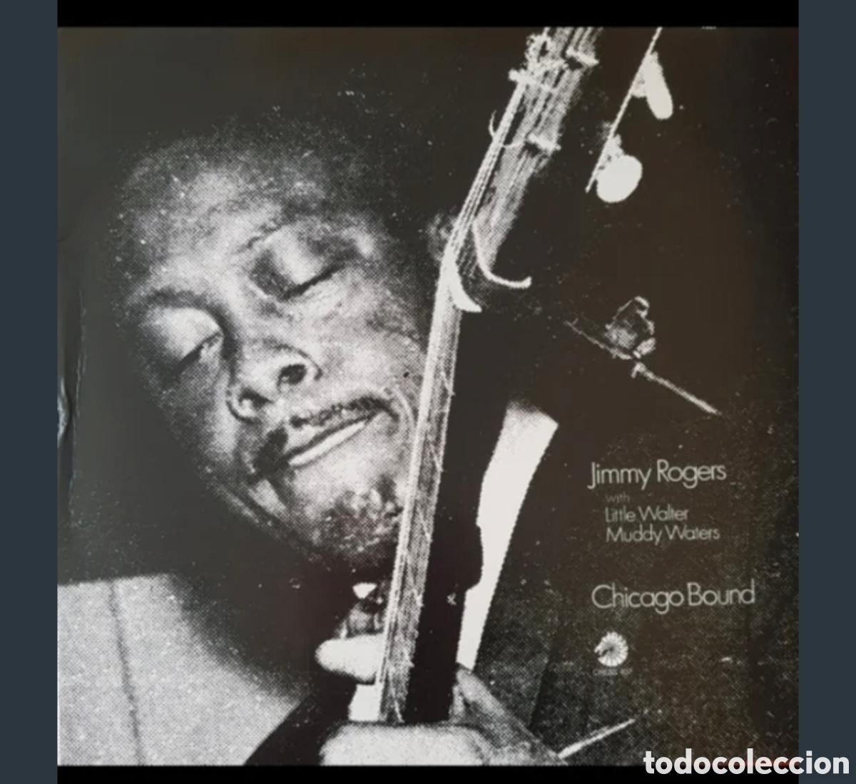 Discos de vinilo: Jimmy Rogers-Little Walter-Muddy Waters