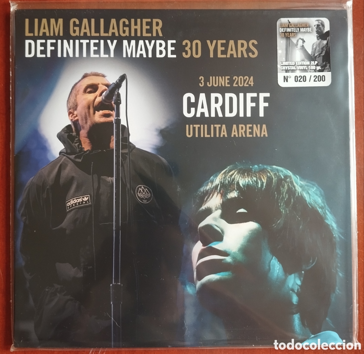 Discos de vinilo: Liam Gallagher - Definitely maybe 30 years - 2 LP