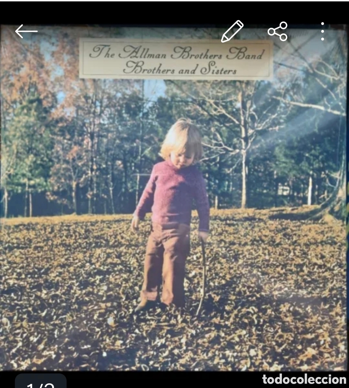 Discos de vinilo: The Allman Brothers Band: Brothers And Sisters