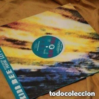 Discos de vinilo: King Bee, Lets take it home. 12&rdquo;. Torso dance, 1989. Edici&oacute;n Holanda.