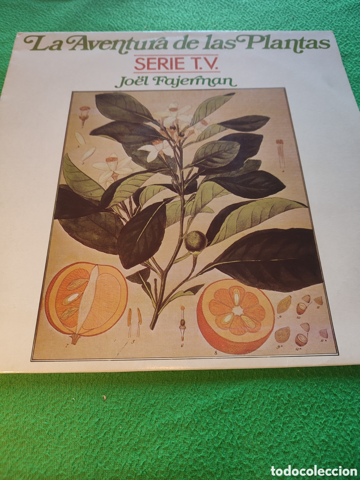 Discos de vinilo: Joel Fajerman - La aventura de las plantas