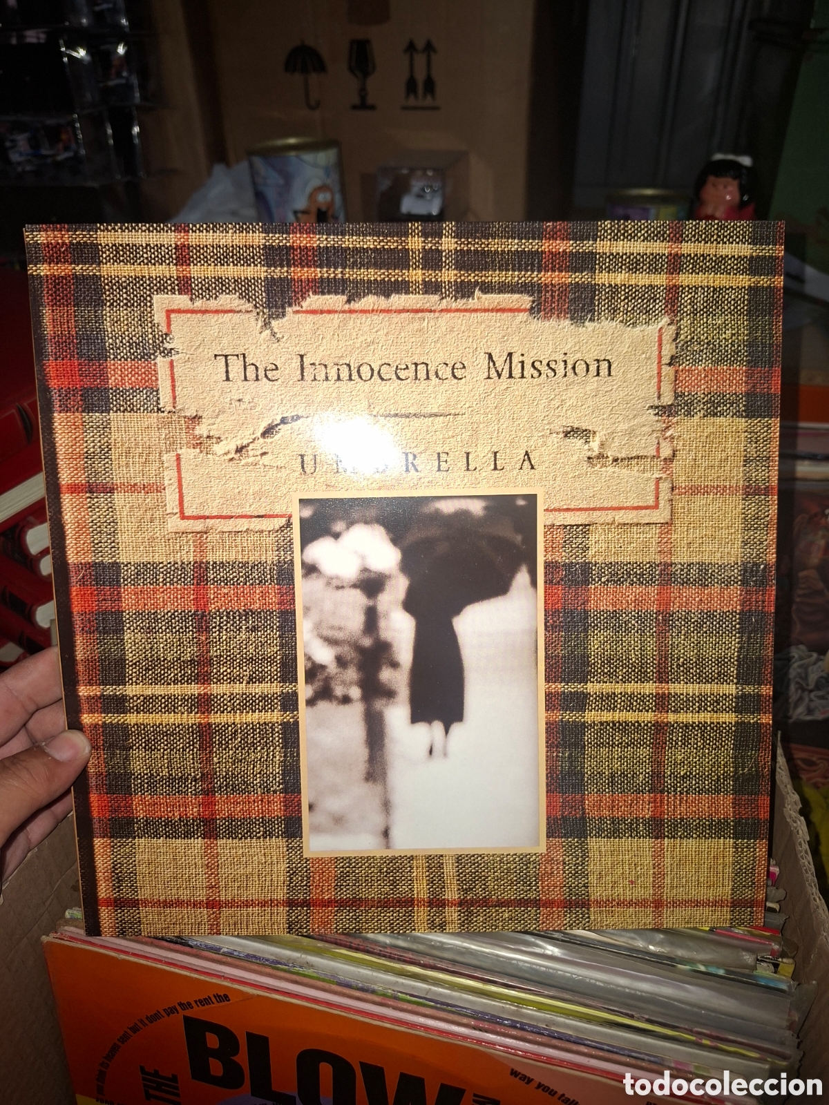 Discos de vinilo: The innocence mission umbrella