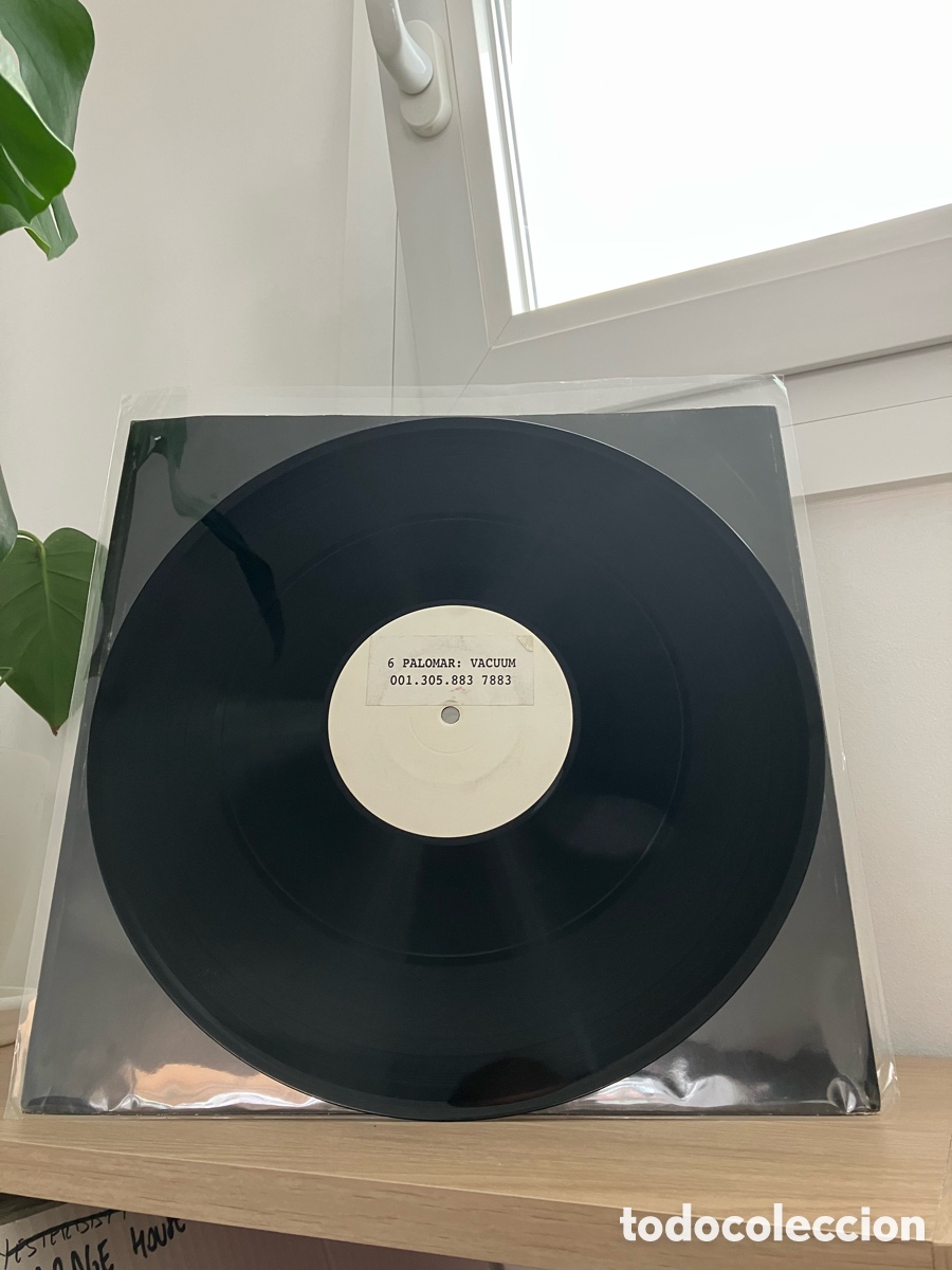 Discos de vinilo: 6 Palomar - Vacuum 12&rdquo; - Foto 1
