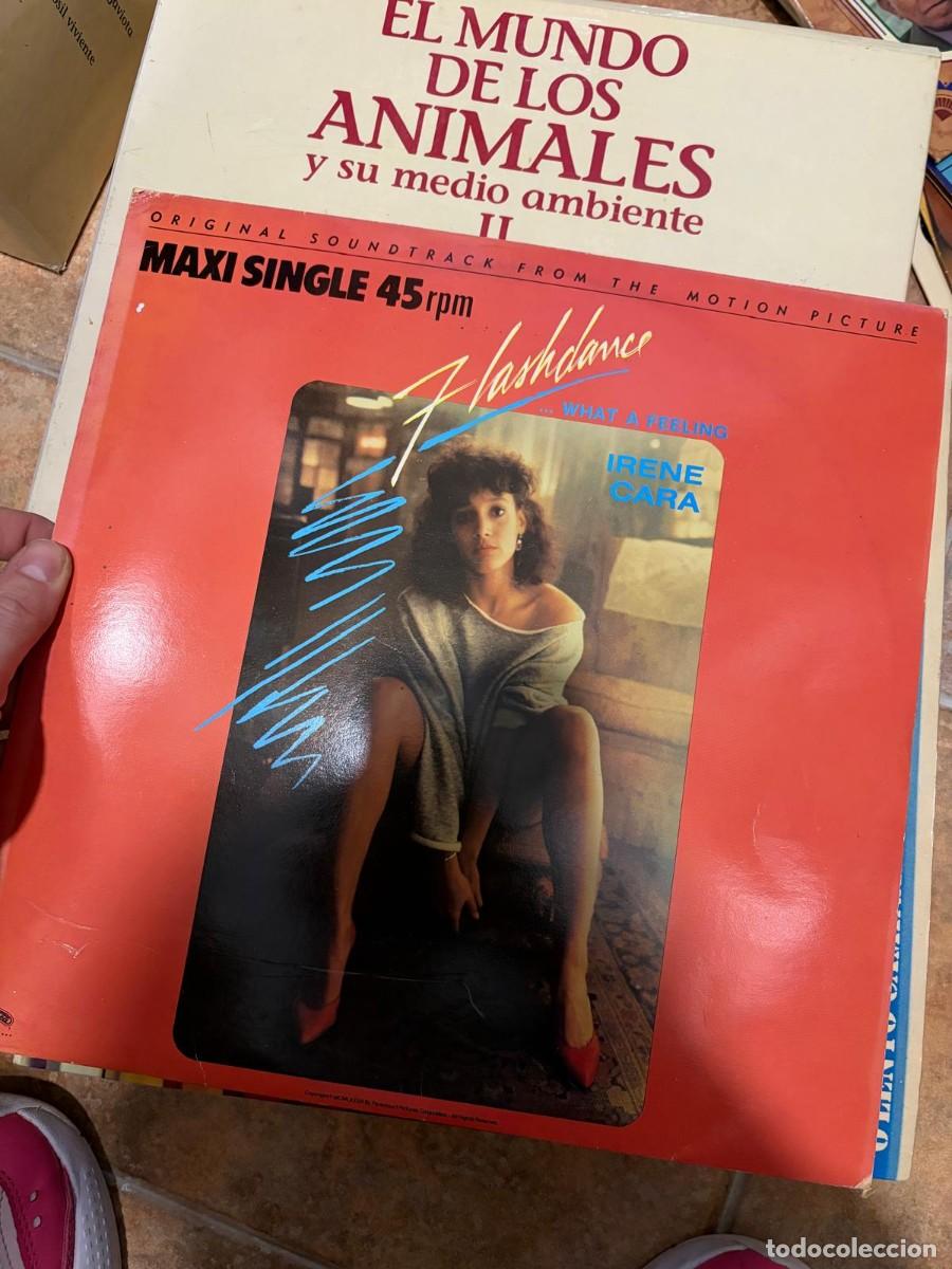 Discos de vinilo: BLAS29A DISCO VINILO LP Flashdance... What a Feeling &ndash; Irene Cara. Editorial/Sello: Casablanca Recor