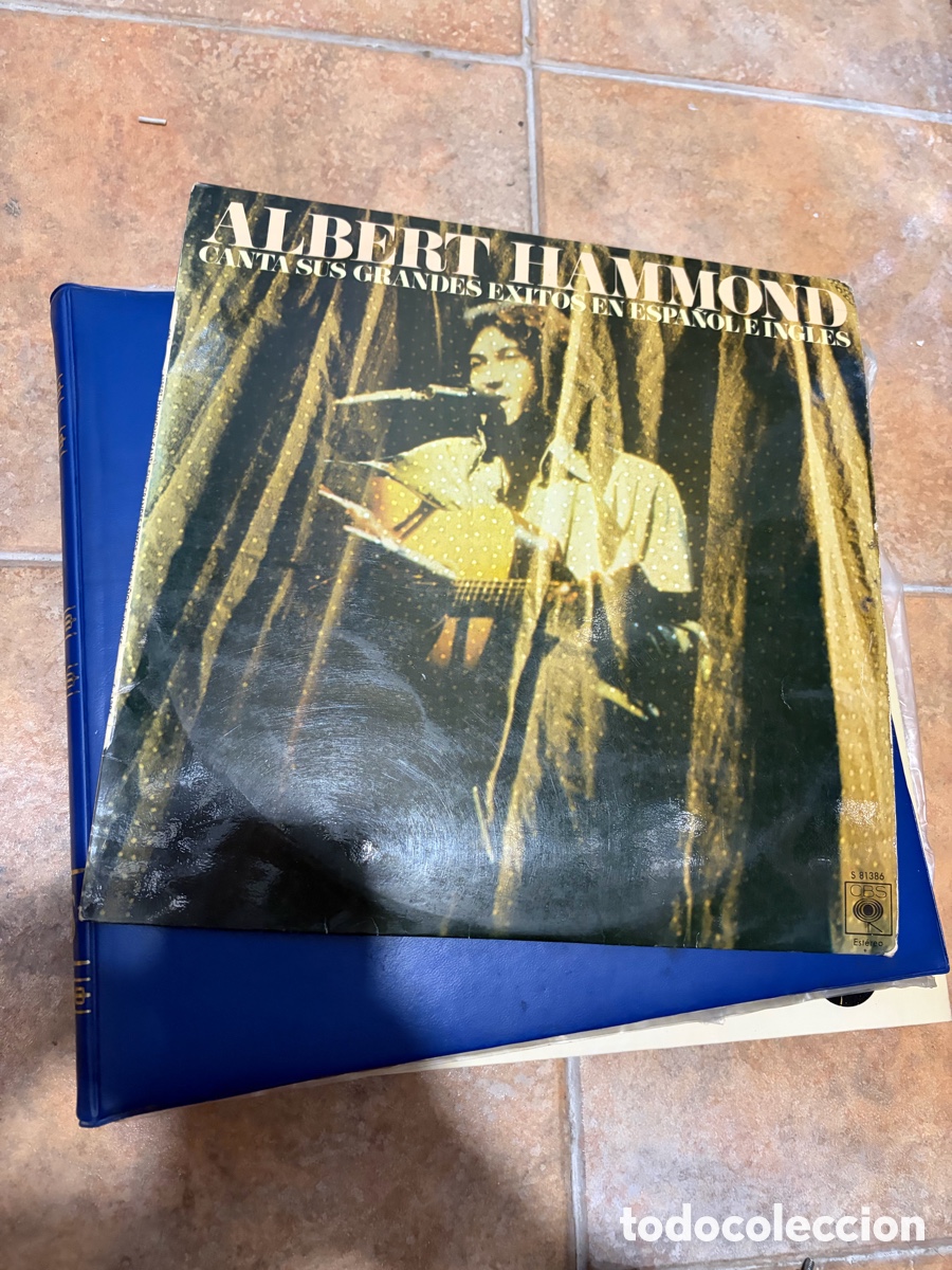 Discos de vinilo: Blas29A ALBERT HAMMOND - CANTA SUS GRANDES &Eacute;XITOS EN ESPA&Ntilde;OL disco vinilo