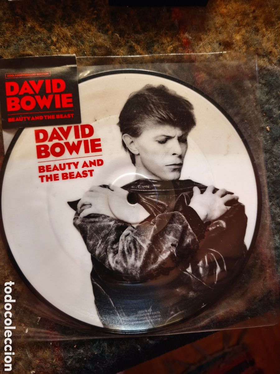 Discos de vinil: David Bowie: Beauty And The Beast