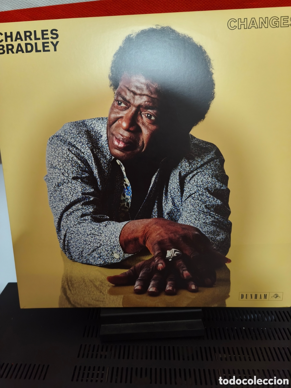 Disques de vinyle: Charles Bradley: Changes 2Lps