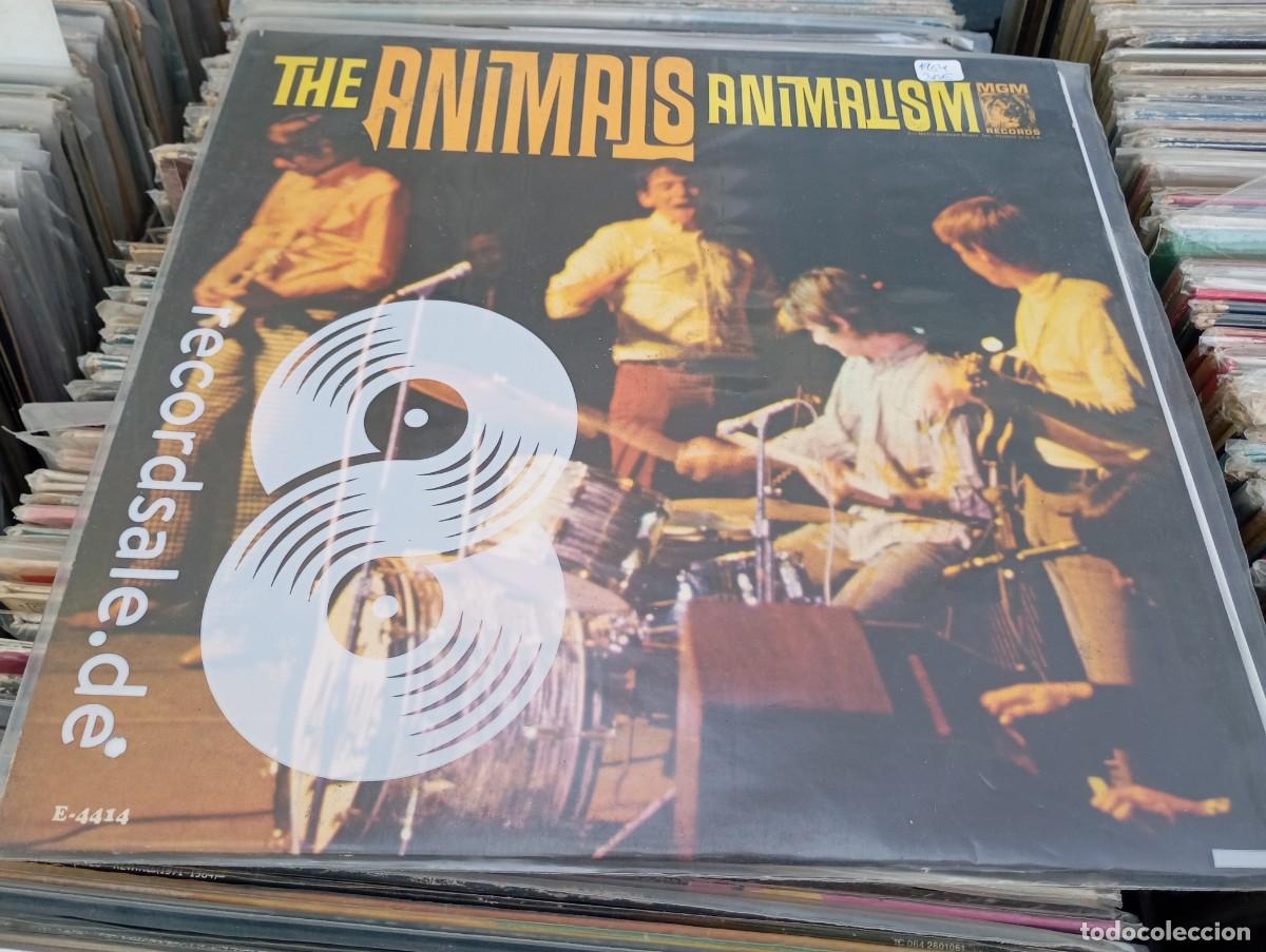 Discos de vinilo: LP ORIG USA 1966 THE ANIMALS ANIMALISM VG++