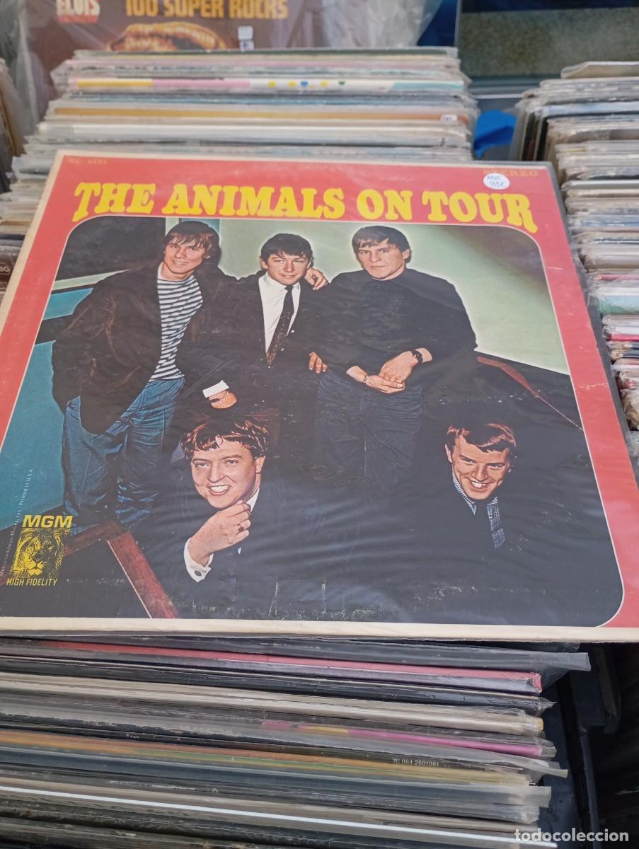 Discos de vinilo: LP ORIG USA 1965 THE ANIMALS ON TOUR VG+ VG++
