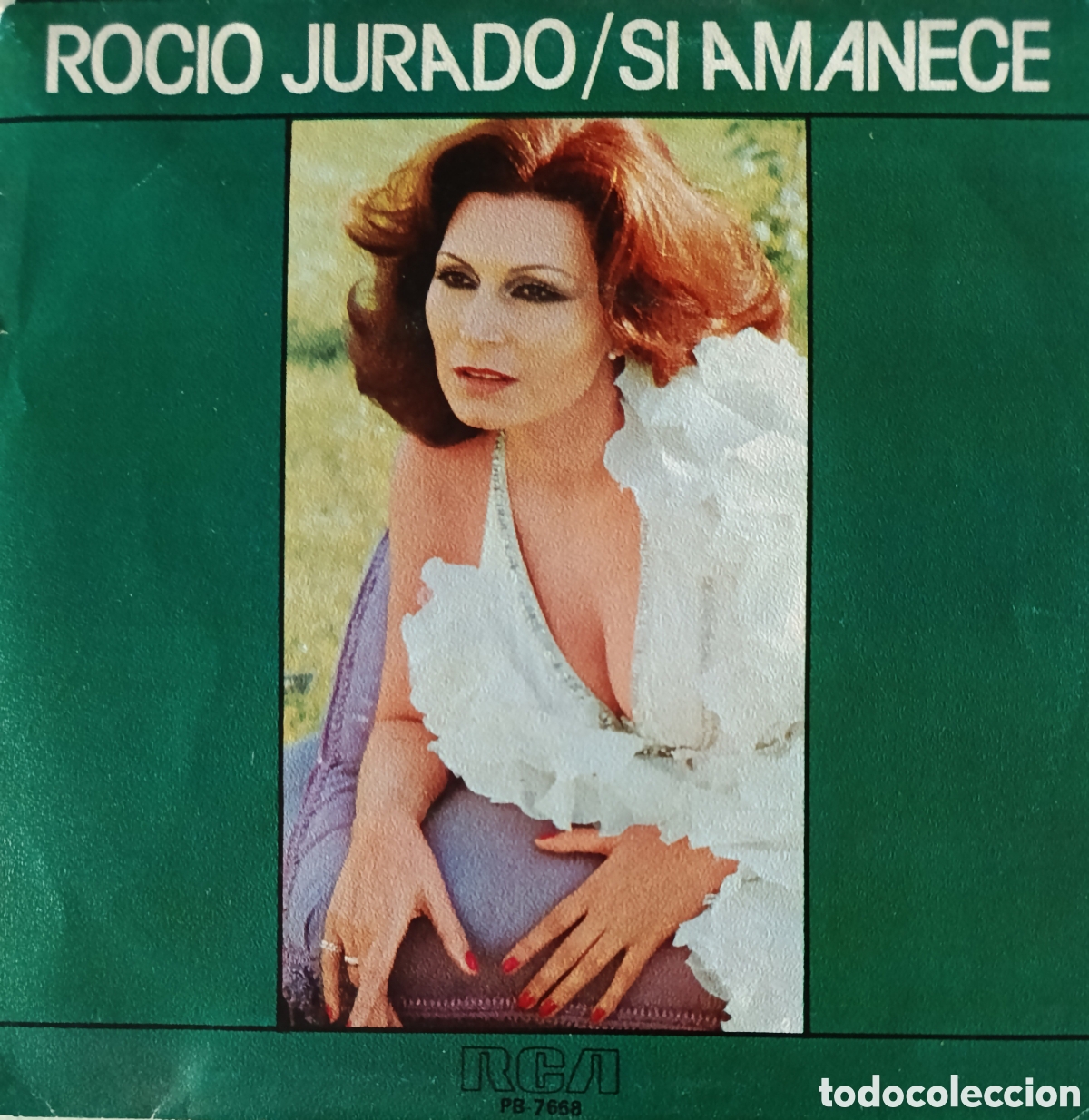 Dischi in vinile: Roc&iacute;o Jurado single sello RCA V&iacute;ctor editado en Espa&ntilde;a a&ntilde;o 1978 promocional.