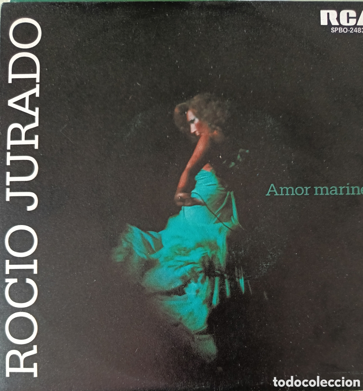 Discos de vinilo: Roc&iacute;o Jurado single sello RCA V&iacute;ctor editado en Espa&ntilde;a a&ntilde;o 1976 promocional.