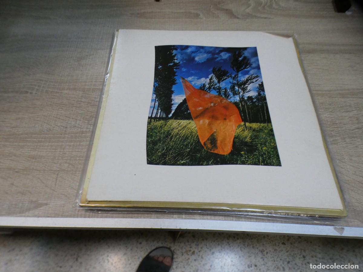Discos de vinilo: ARKANSAS1980 EXPRO726 ENCARTE SUELTO SOLO EL ENCARTE PINK FLOYD WISH YOU WERE HERE