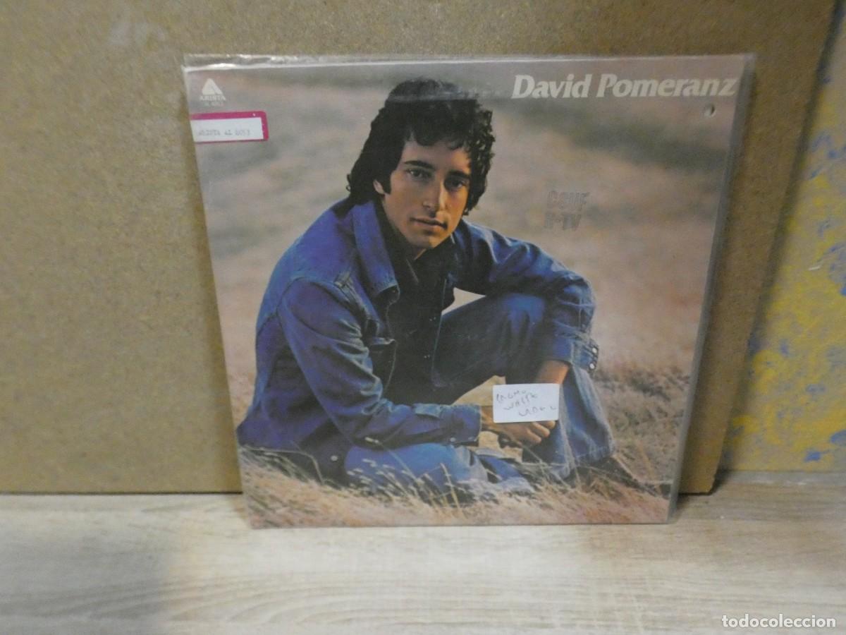 Discos de vinilo: ARKANSAS1980 EXPRO726 VINILO BUEN ESTADO DAVID POMERANZ PROMO WHITE LABEL